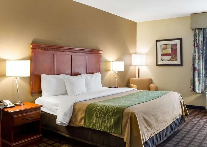 Best Hotels Near Cleveland's Top Attractions