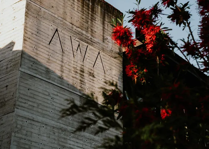 Mejores Hoteles en Puerto Varas