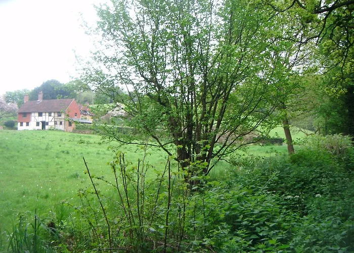 Top Hotels Near University of Surrey in Guildford